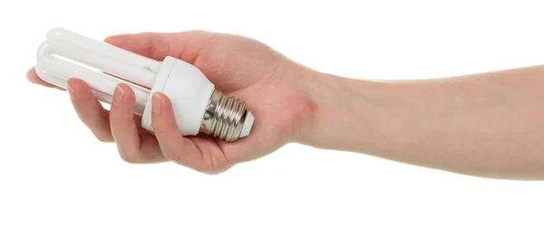 In female hand compact fluorescent light bulb is isolated — Stok fotoğraf