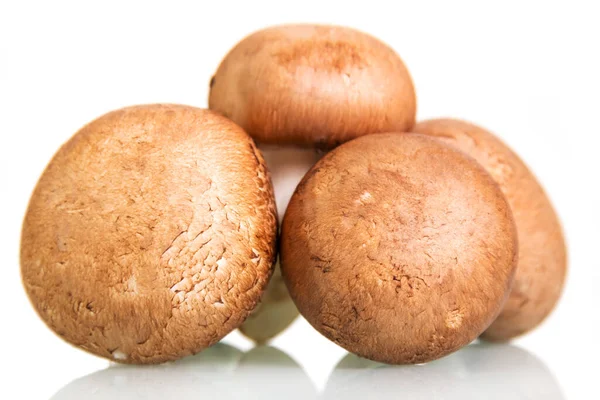 Bruine champignons van dichtbij geïsoleerd op wit. — Stockfoto