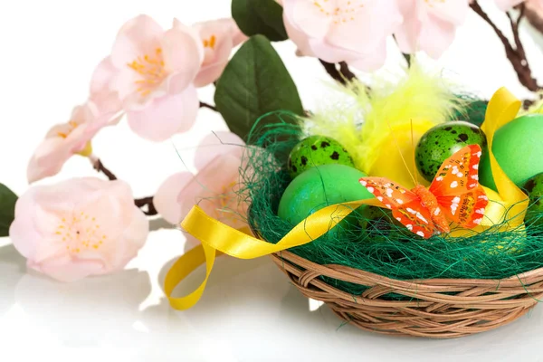 Divers œufs de Pâques dans le panier et la branche avec des fleurs isolées . — Photo