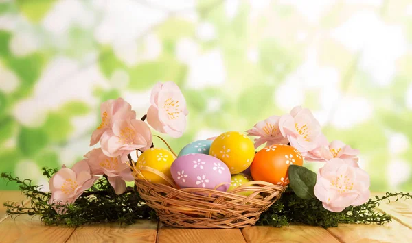 Uova di Pasqua colorate in cesto, erba, fiori su verde astratto — Foto Stock