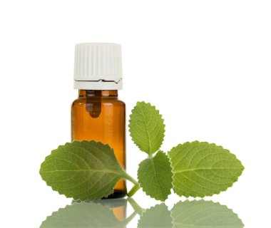 Elektronik sigara izole edilmiş nane ferahlatıcı sıvı 