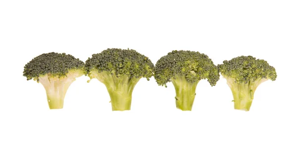 Sırayla izole edilmiş dört olgun brokoli. — Stok fotoğraf