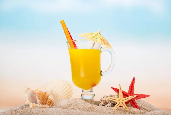 Un vaso de zumo de naranja, estrellas de mar, conchas marinas y concha — Foto de Stock