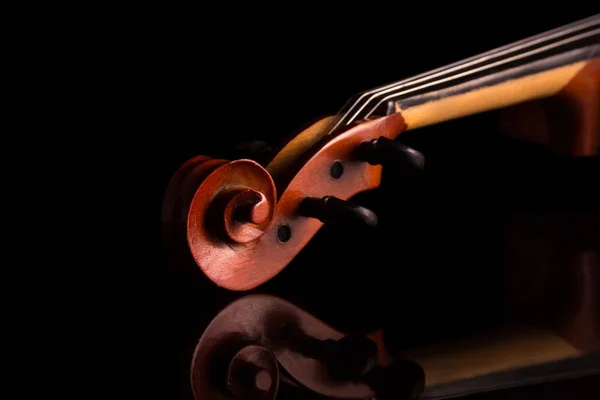 黒に隔離された弦を持つフリートボードバイオリン — ストック写真