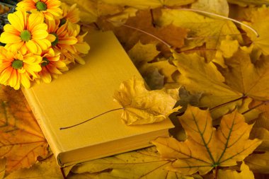 Sonbahar kompozisyonu, kitap ve sayfaları