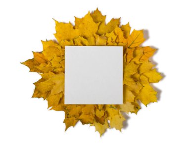 Sonbahar yapraklarında boşluk beyaz üzerine izole