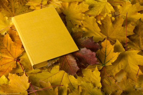Autumn composition. Book with bookmark from red leaf — Stock Photo, Image