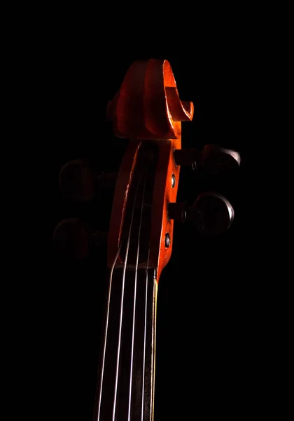 Fretboard violin with strings isolated on black — 스톡 사진