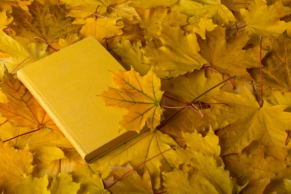 Carpet of autumn maple leaves and book on top — Stock Photo, Image