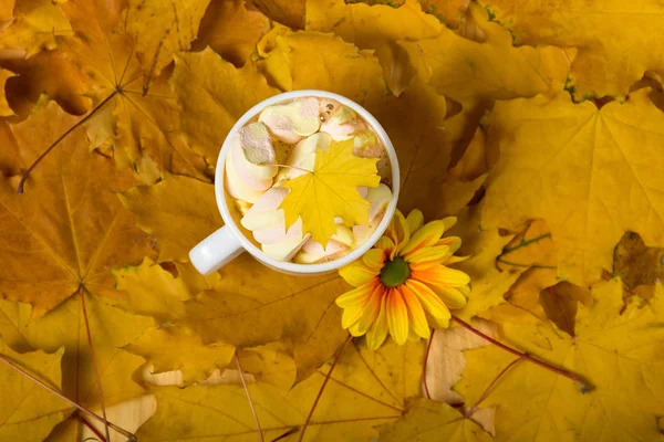 Una tazza con bevanda dolce, presentata su tappeto di foglie autunnali — Foto Stock