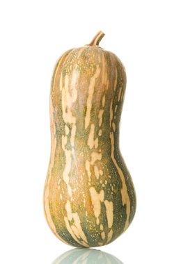 Tereyağlı balkabağı, beyaz üzerine izole edilmiş.