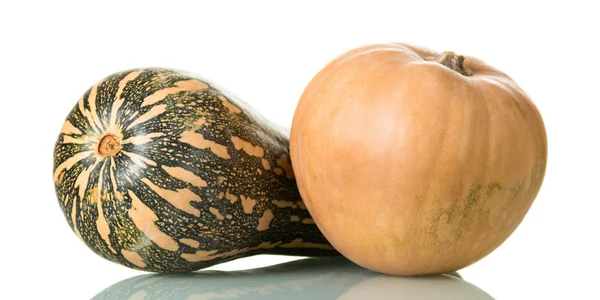 Dos calabazas de diferentes variedades, aisladas en blanco —  Fotos de Stock