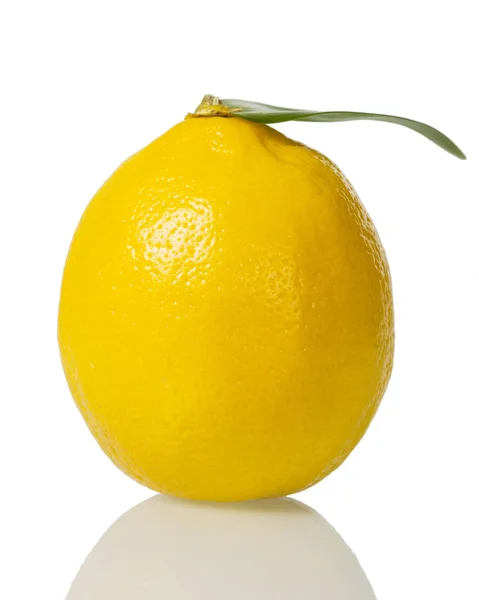 Grande limão brilhante com folha isolada em branco — Fotografia de Stock