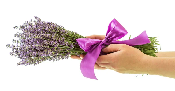 Bouquet de lavande avec ruban dans les mains de la femme isolé sur blanc — Photo