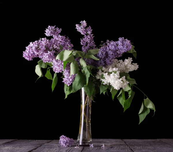 Białe i fioletowe gałęzie bzu w szklanym wazonie wyizolowane na czarno — Zdjęcie stockowe
