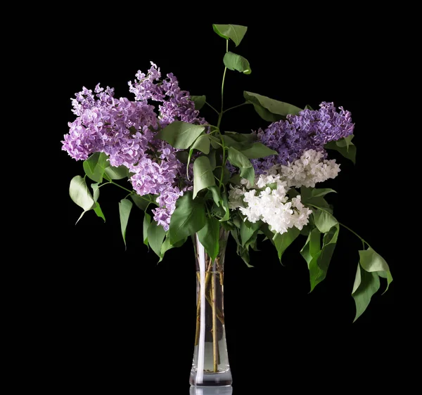 Bouquet of fragrant lilac in graceful glass vase isolated on black — Stockfoto