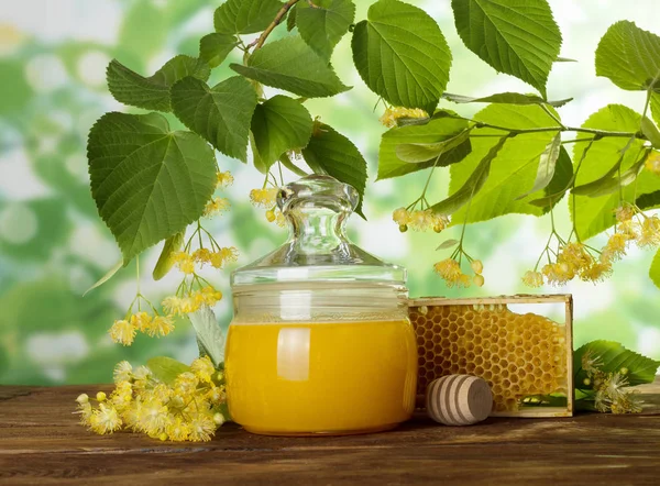 Frasco de mel e favo de mel no fundo do ramo de floração Linden — Fotografia de Stock