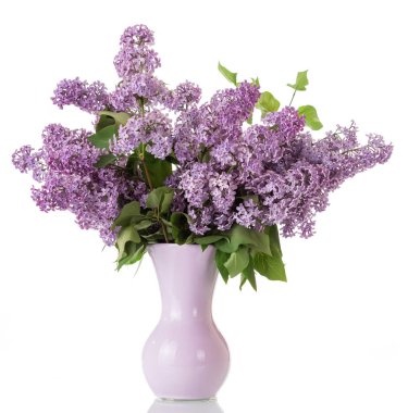 beyaz izole vazo lila buketi