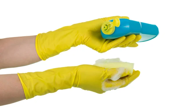 Cleaning agent and sponge in female hands isolated on white background — Stock Photo, Image