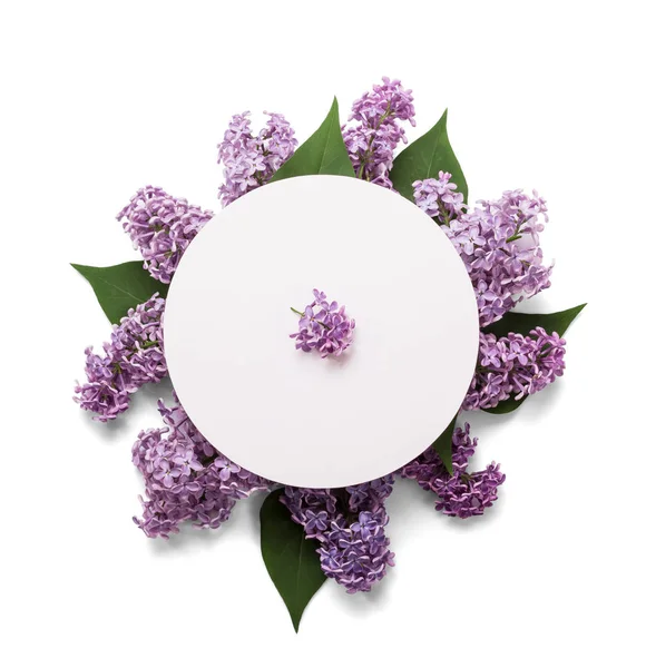 Bloemenopstelling van lila takjes, geïsoleerd op wit — Stockfoto