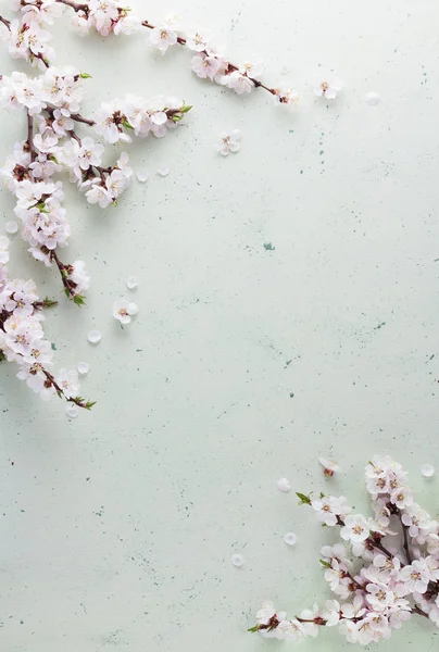 春の花と碑文のための場所と明るいイースターカード — ストック写真