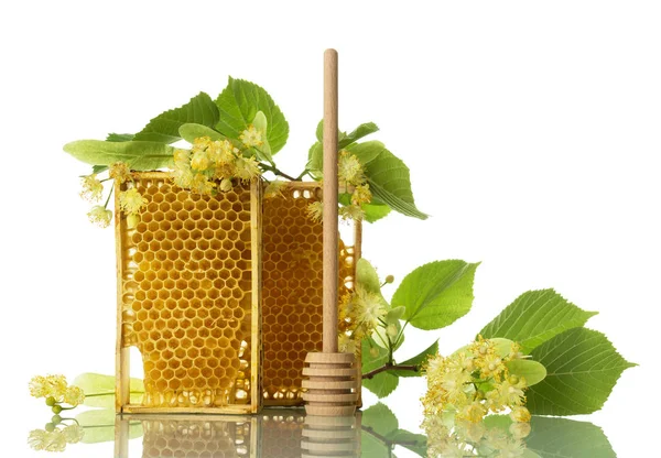 Cadres avec miel d'abeille, broche et fleurs de tilleul isolés sur blanc — Photo