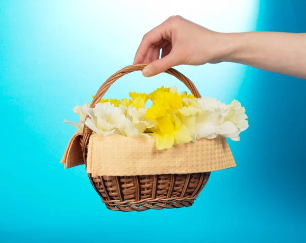Female hand holds basket with flowers, on blue — Stock Photo, Image