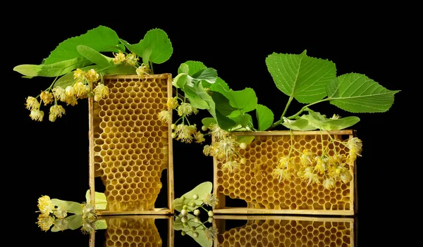 Cornici in legno con favi d'api e fiori di tiglio isolati su nero — Foto Stock