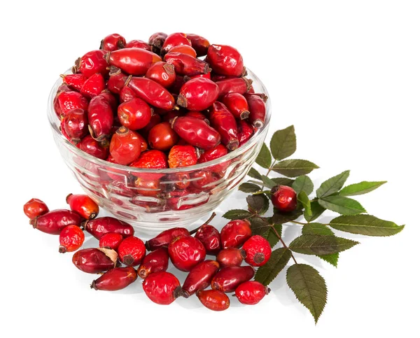 Glass bowl filled with red fruit of wild roses, next to green twig isolated on white — Stockfoto