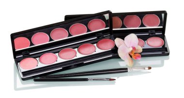 Makyaj için makyaj malzemesi ve fırça seti, beyaz arka planda izole edilmiş.