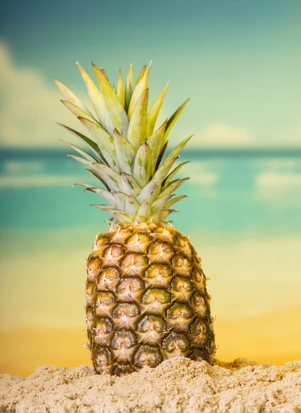 Grote Rijpe Ananas Met Stam Zand Tegen Zeelandschap — Stockfoto