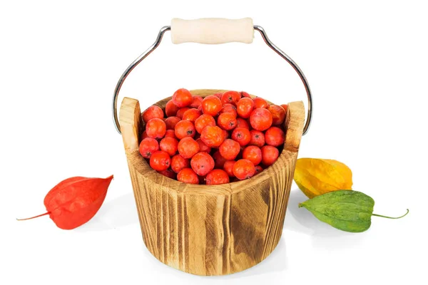 Cubo Madera Lleno Bayas Rowan Cerca Cajas Physalis Aisladas Sobre — Foto de Stock