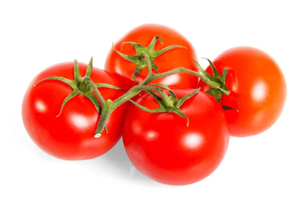 Heldere Rode Rijpe Tomaten Met Paardenstaarten Geïsoleerd Witte Achtergrond — Stockfoto