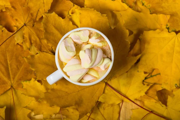 用黄色秋天叶子铺在地毯上的棉花糖咖啡杯 — 图库照片