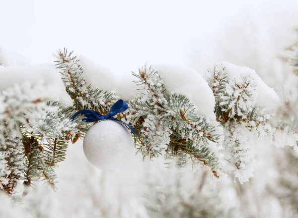Snowy Christmas Pine Branch White Ball Blue Bow Background — Stock Photo, Image