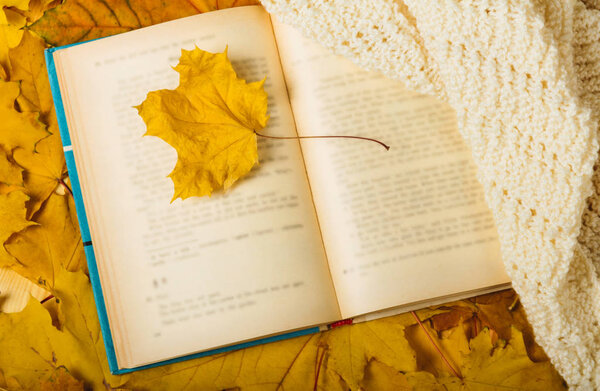 Lone yellow of autumn leaf and scarf lying on open book