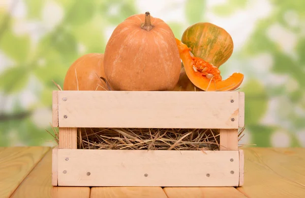 Cajón Lleno Calabazas Grandes Cortar Pieza Superior Con Semillas Sobre —  Fotos de Stock