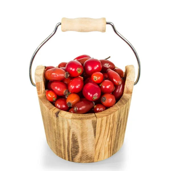 Wooden Bucket Filled Rose Hips Isolated White Background — Stock Photo, Image