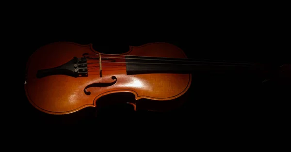 Graceful Little Violin Isolated Black Background — Stock Photo, Image