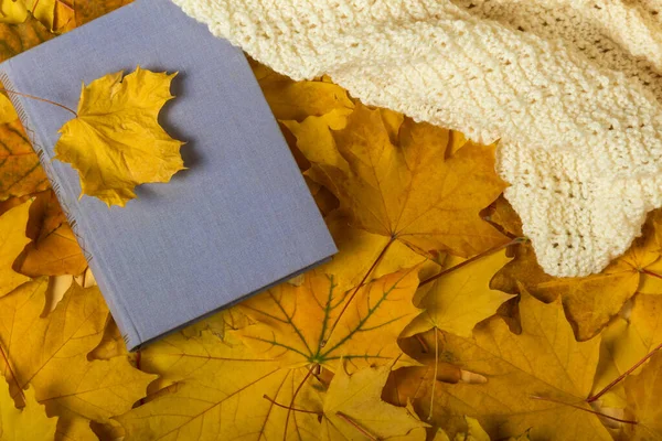 Tappeto Foglie Autunno Gialle Libro Sciarpa Calda — Foto Stock