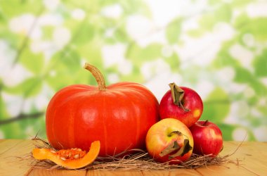 Yeşil arka planda büyük balkabağı ve olgun elmalar