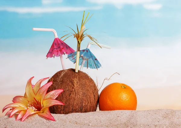 Coconut Orange Flower Sand Sea — Stock Photo, Image