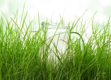 Soyut yeşil arka planda çimlerde bir sürahi süt.