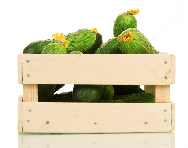 Fresh Cucumbers Wooden Box Isolated White Background — Stock Photo, Image