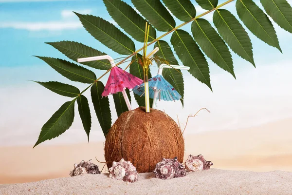 Kokosový Ořech Slámou Deštníky Mořskými Lasturami Listím Písku Moře — Stock fotografie