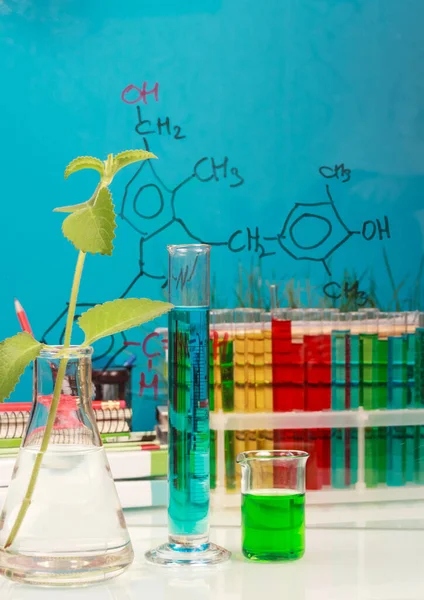Kolven Reageerbuizen Met Gekleurde Vloeistoffen Planten Formules Een Blauwe Achtergrond — Stockfoto