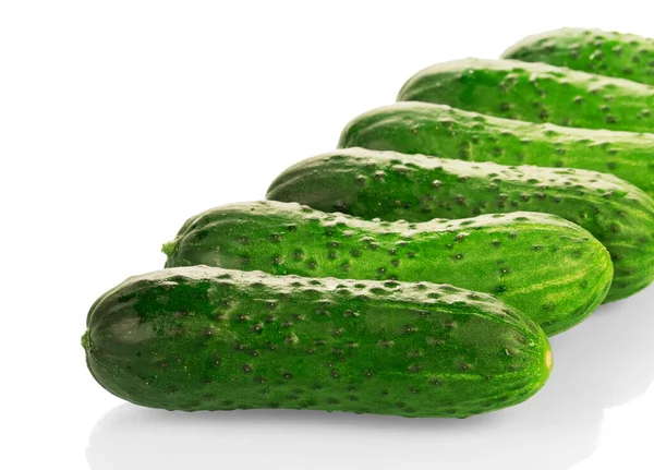 Fresh Cucumbers Decomposed Row Isolated White Background — Stock Photo, Image