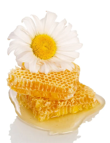 白色背景下的蜂蜜梳和菊花 — 图库照片