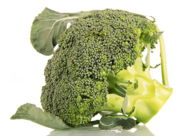 Färsk Broccoli Detaljbild Isolerat Vit Bakgrund — Stockfoto
