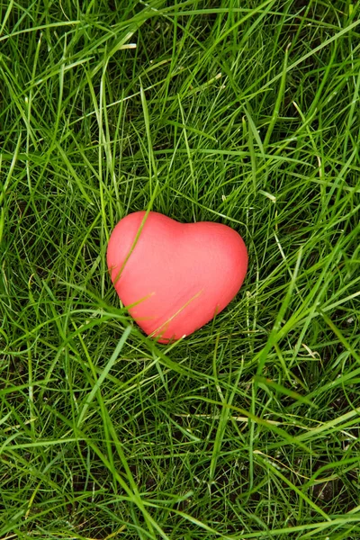 Red Heart Background Green Grass — Stock Photo, Image